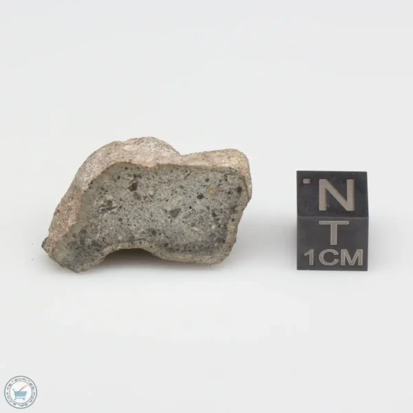 NWA 14370 Meteorite 7.1g End Cut