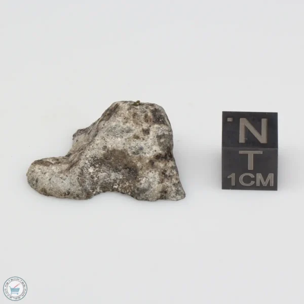 NWA 14370 Meteorite 6.5g End Cut