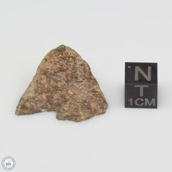 NWA 14370 Meteorite 5.7g End Cut