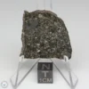 Aba Panu Meteorite 8.3g