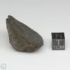 Aba Panu Meteorite 26.2g End Cut