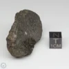 Aba Panu Meteorite 38.7g End Cut