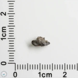 Laâyoune 002 Lunar Meteorite 0.09g