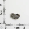 Laâyoune 002 Lunar Meteorite 0.17g