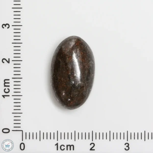 Meteorite Cabochon 3.1g 15.5ct