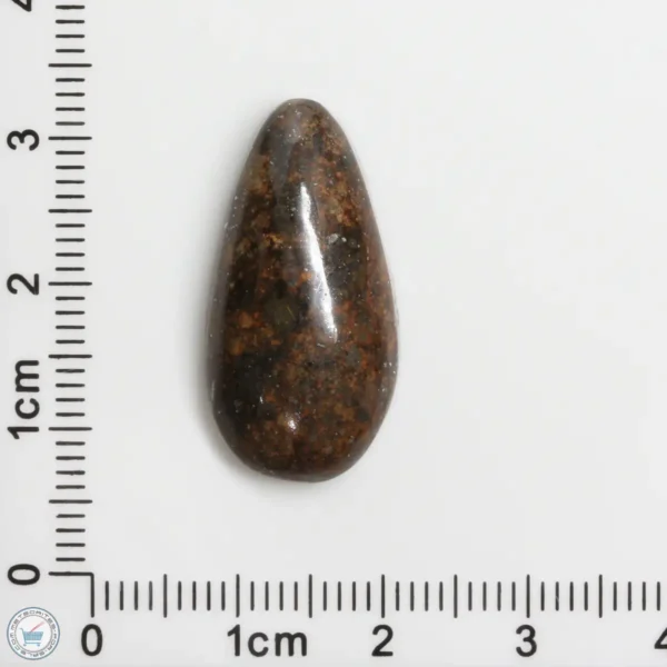 Meteorite Cabochon 4.1g 20.5ct