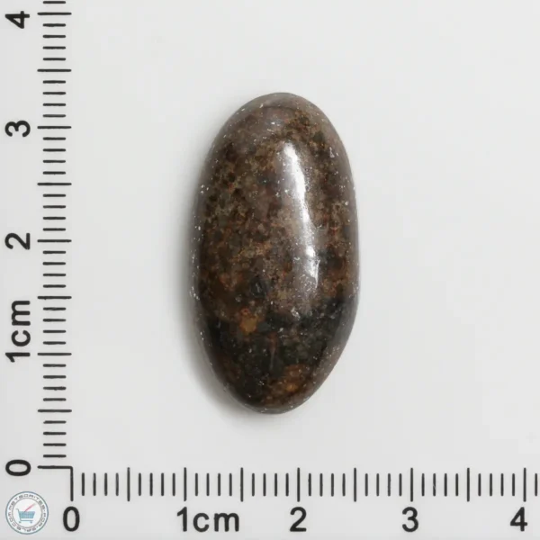 Meteorite Cabochon 5.7g 28.5ct