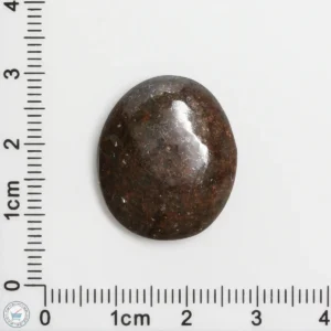 Meteorite Cabochon 4.0g 20ct