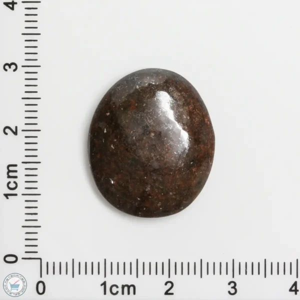 Meteorite Cabochon 4.0g 20ct