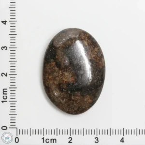 Meteorite Cabochon 8.9g 44.5ct