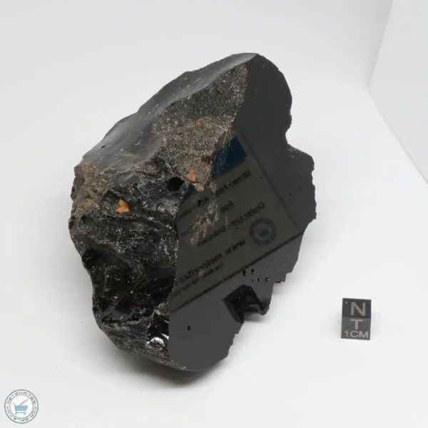 Muong Nong Tektite Polished 681g