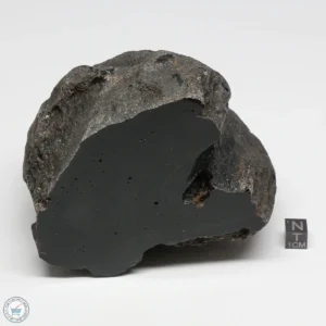 Muong Nong Tektite Polished 1144g