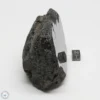 Muong Nong Tektite Polished 506g