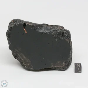 Muong Nong Tektite Polished 506g