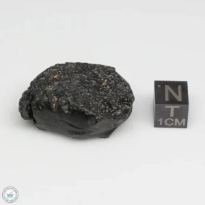 Vietnam Tektite 15.6g