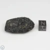 Vietnam Tektite 16.1g