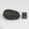 Vietnam Tektite 20.1g