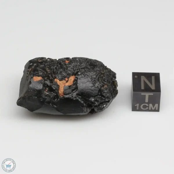 Vietnam Tektite 19.5g