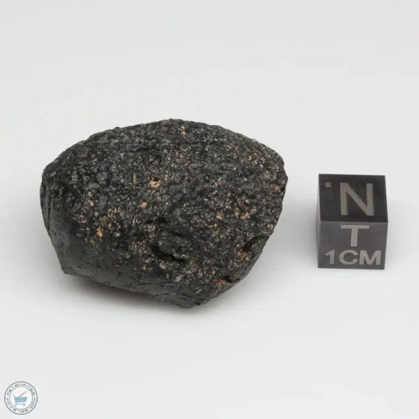 Vietnam Tektite 27.7g