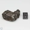 Sikhote-Alin Meteorite Shrapnel 49.4g