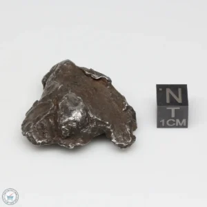 Sikhote-Alin Meteorite Shrapnel 49.9g