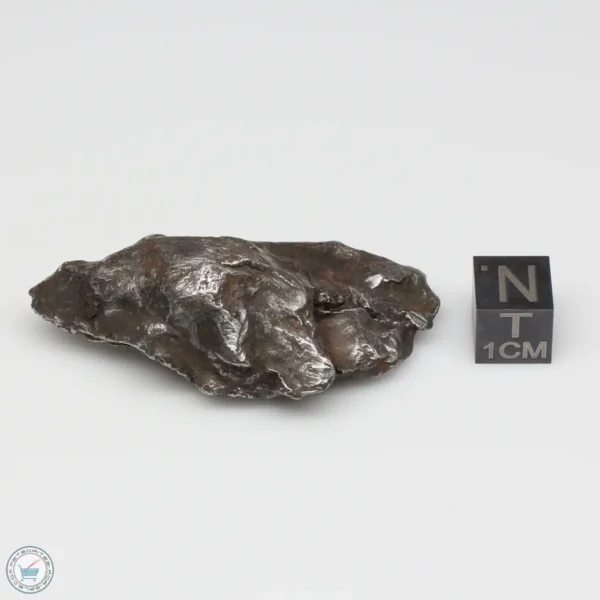 Sikhote-Alin Meteorite Shrapnel 58.2g