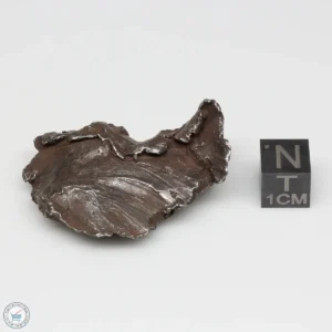 Sikhote-Alin Meteorite Shrapnel 40.1g