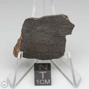 NWA 6947 Meteorite 9.2g