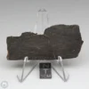 NWA 6947 Meteorite 15.4g