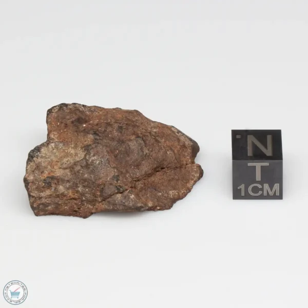 NWA 6947 Meteorite 19.1g Windowed