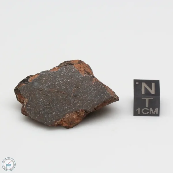 NWA 6947 Meteorite 19.1g Windowed