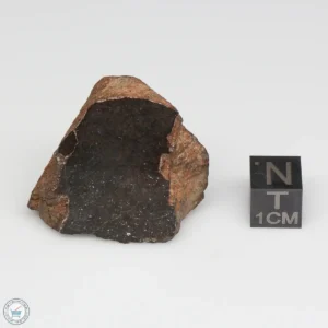 NWA 6947 Meteorite 25.9g Windowed