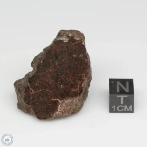 NWA 6947 Meteorite 30.3g Windowed