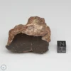 NWA 6947 Meteorite 75.4g Windowed