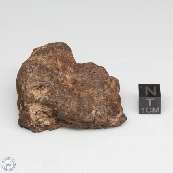 NWA 6947 Meteorite 75.4g Windowed