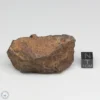 NWA 6947 Meteorite 86.9g Windowed