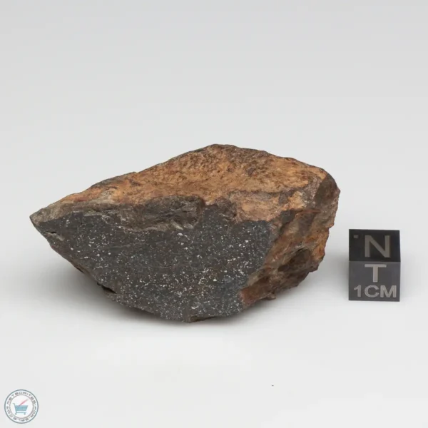 NWA 6947 Meteorite 86.9g Windowed