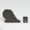 NWA 6947 Meteorite 6.9g Part End Cut