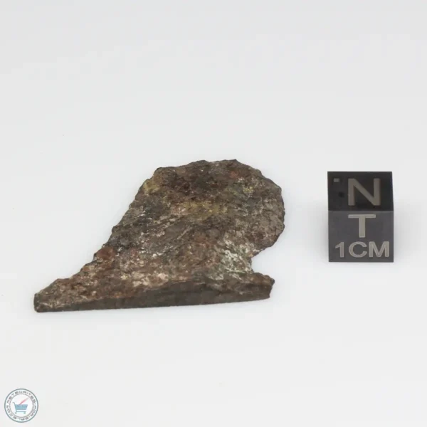 NWA 6947 Meteorite 6.9g Part End Cut