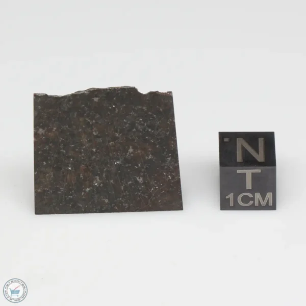 NWA 6947 Meteorite 10.1g Part End Cut