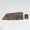 NWA 6947 Meteorite 17.6g Part End Cut