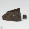 NWA 6947 Meteorite 93.4g Part End Cut