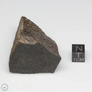 NWA 6947 Meteorite 93.4g Part End Cut