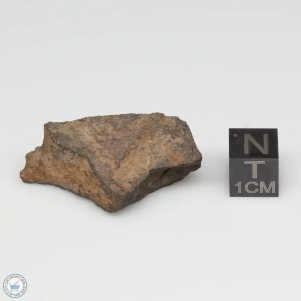 NWA 6947 Meteorite 10.5g End Cut