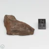 NWA 6947 Meteorite 24.8g End Cut