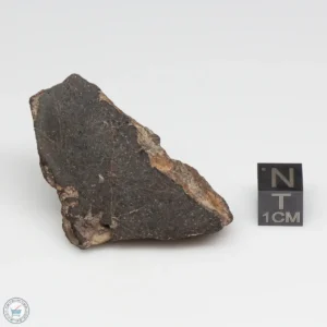 NWA 6947 Meteorite 24.8g End Cut