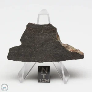 NWA 6947 Meteorite 18.1g End Cut