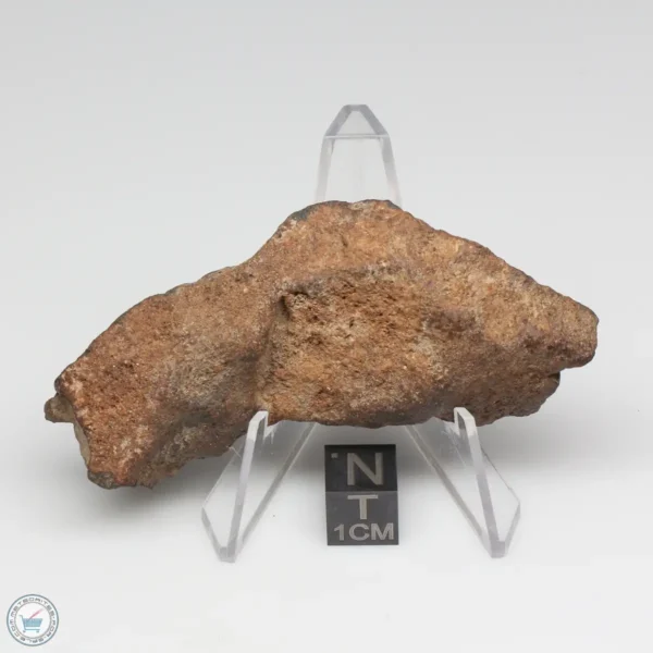 NWA 6947 Meteorite 41.8g End Cut