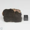 NWA 6947 Meteorite 55.7g End Cut