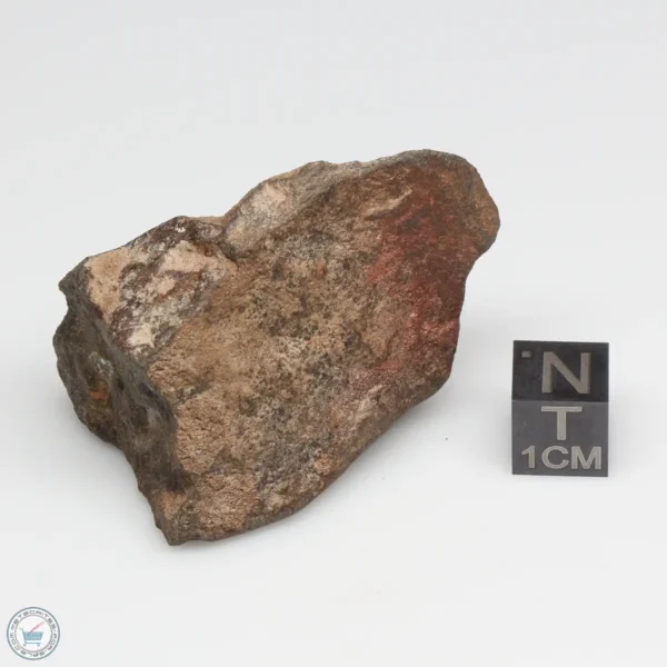 NWA 6947 Meteorite 55.7g End Cut